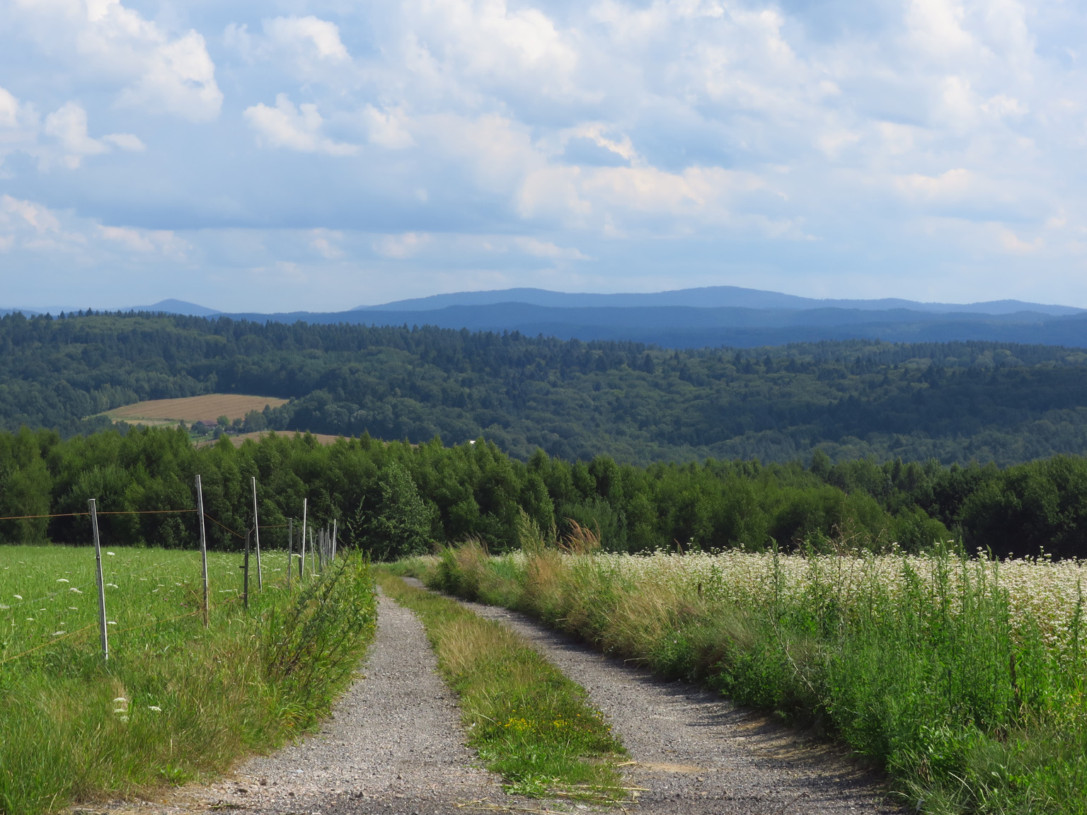 Kliknij, aby powiększyć Krajobrazy widziane z okolic Bukowa.
