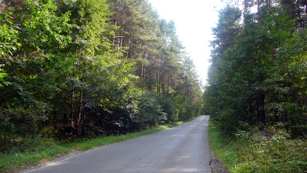 Droga w okolicach Bukowna