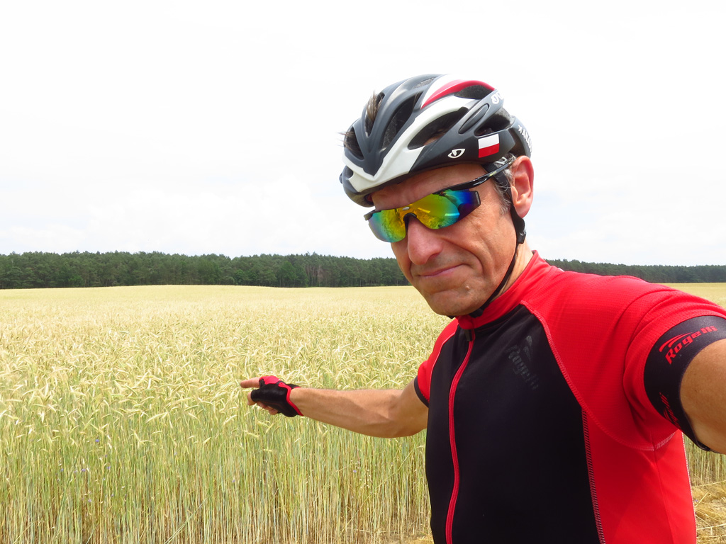 Kliknij, aby powiększyć Tam gdzieś kryje się buszujący w zbożu ;)