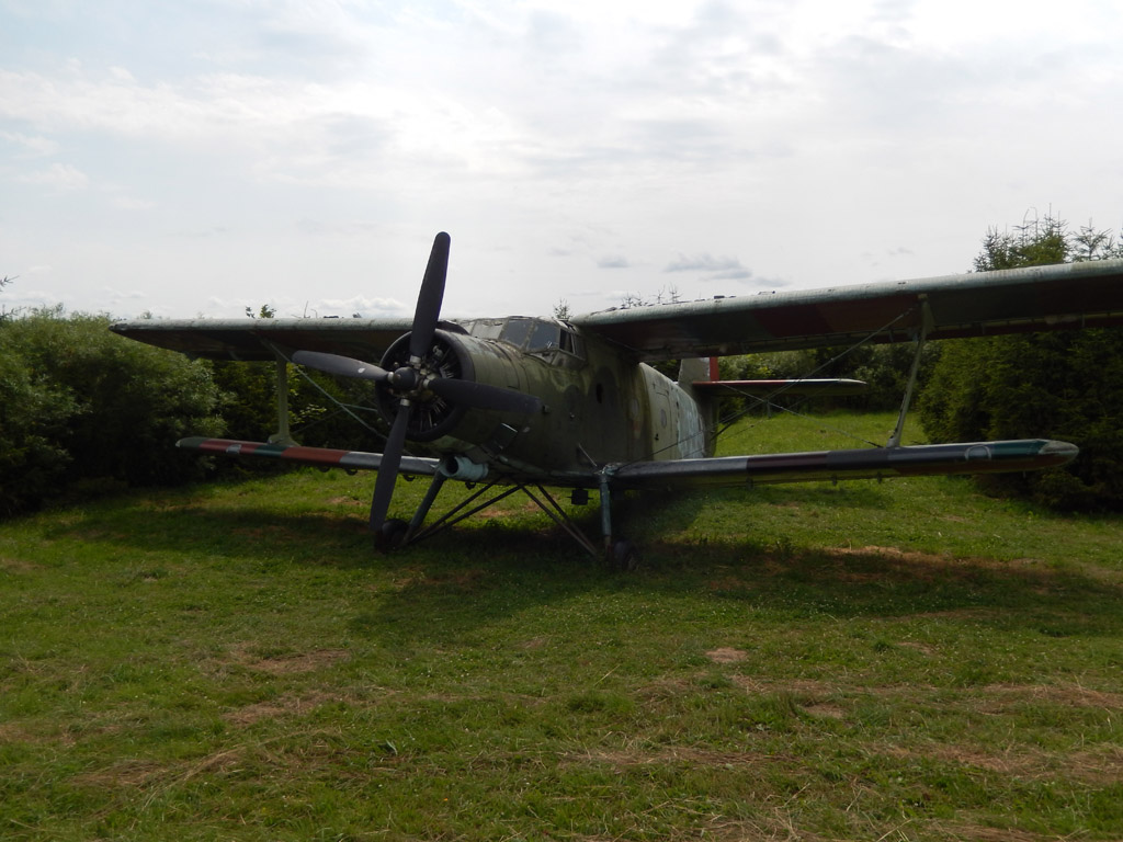 Kliknij, aby powiększyć A za drugim krzakiem poczciwy „Antek” dożywa swoich dni.