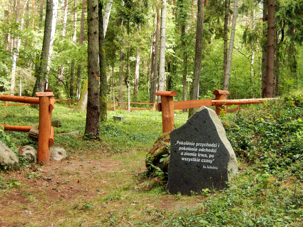 Kliknij, aby powiększyć Cmentarz ewangelicki w okolicach Jackowa.