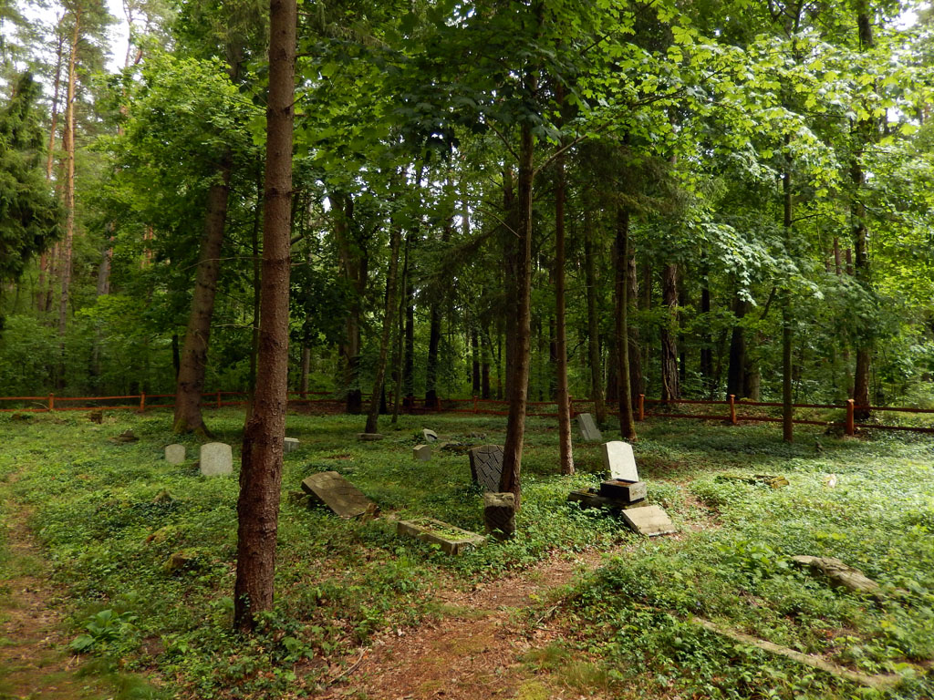 Kliknij, aby powiększyć Zrujnowany obraz miejsca ostatniego spoczynku dawnych mieszkańców
tych ziem.