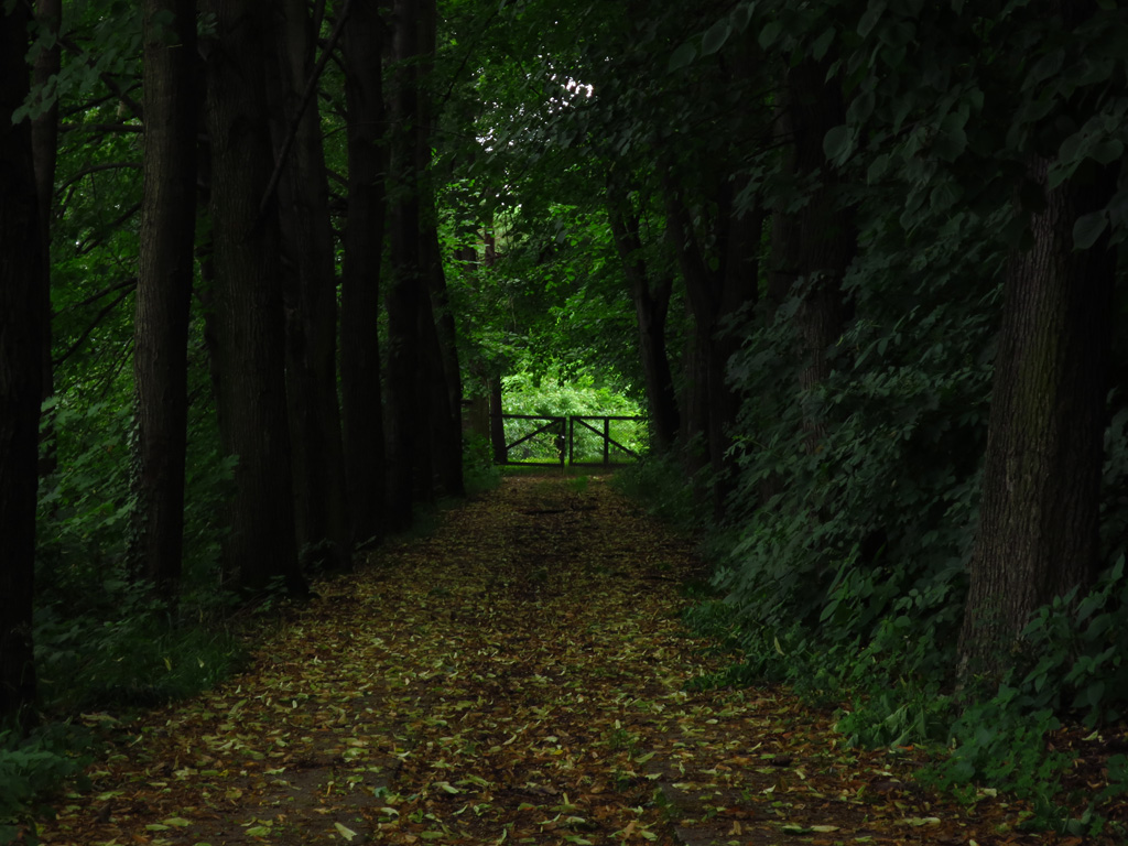 Kliknij, aby powiększyć Lanckorona – Brama tajemniczego ogrodu?