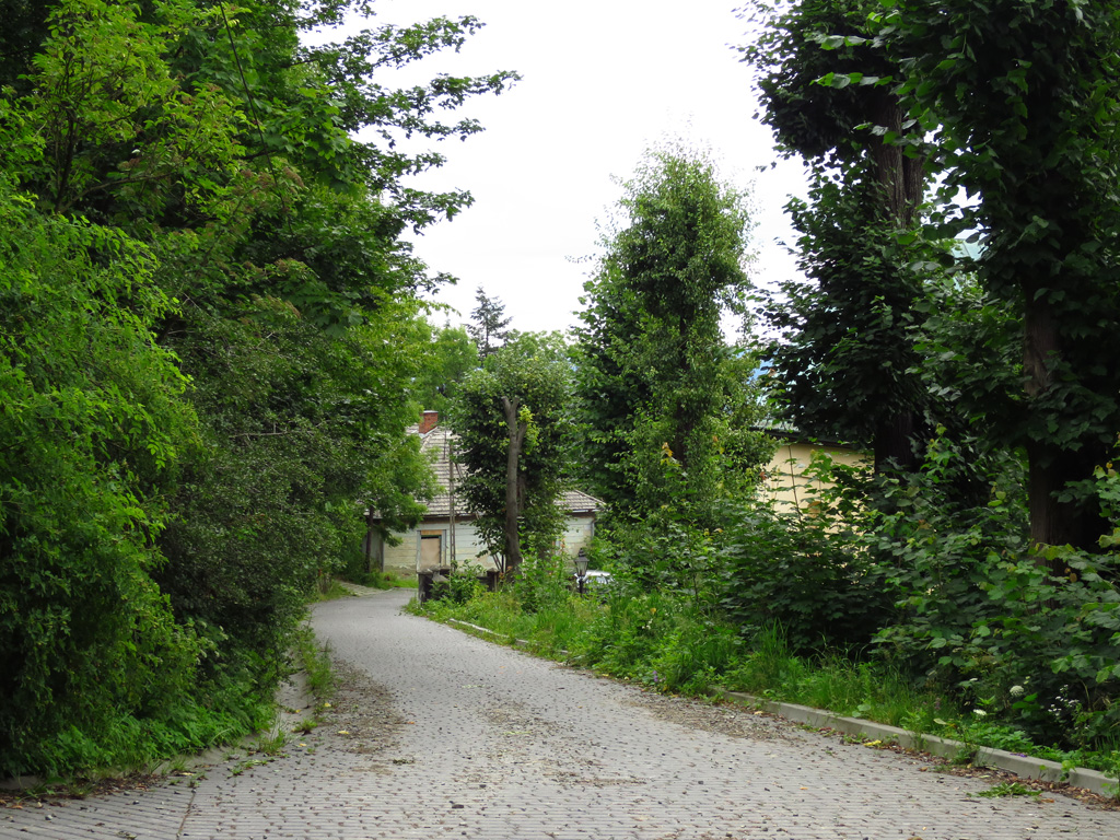 Kliknij, aby powiększyć Lanckorona – Droga do ruin zamku