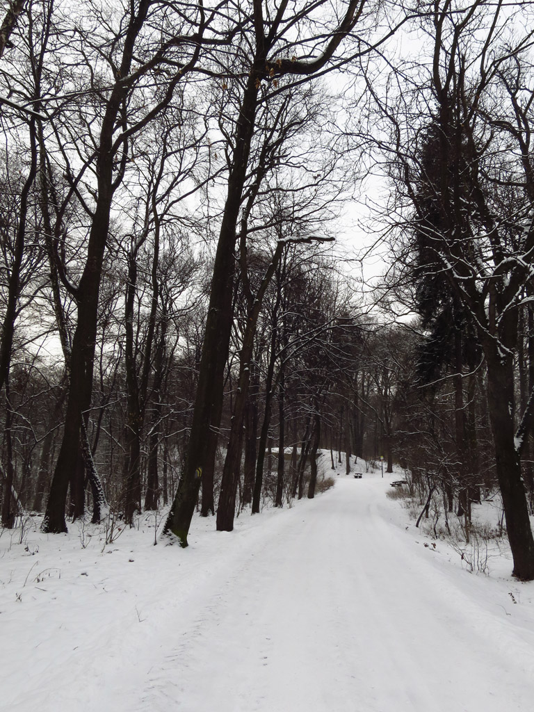 Kliknij, aby powiększyć
Aleja Wędrowników w okowach zimy.