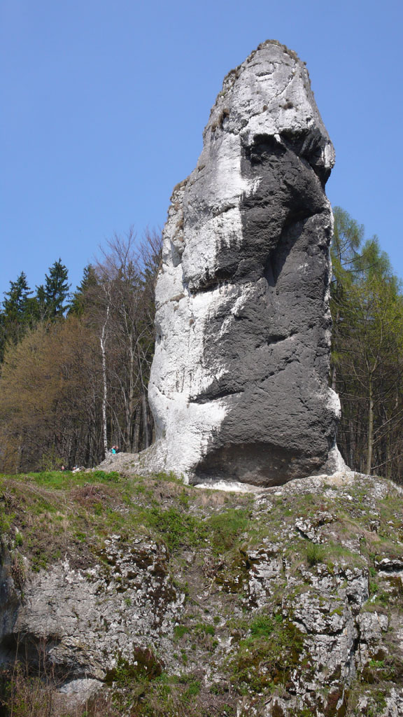 Kliknij, aby powiększyć