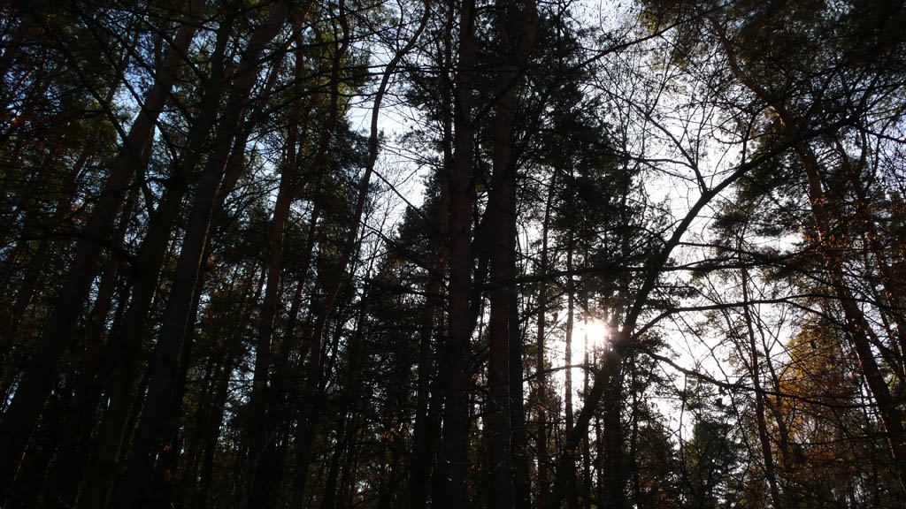 Kliknij, aby powiększyć …słońcem błogosławiona