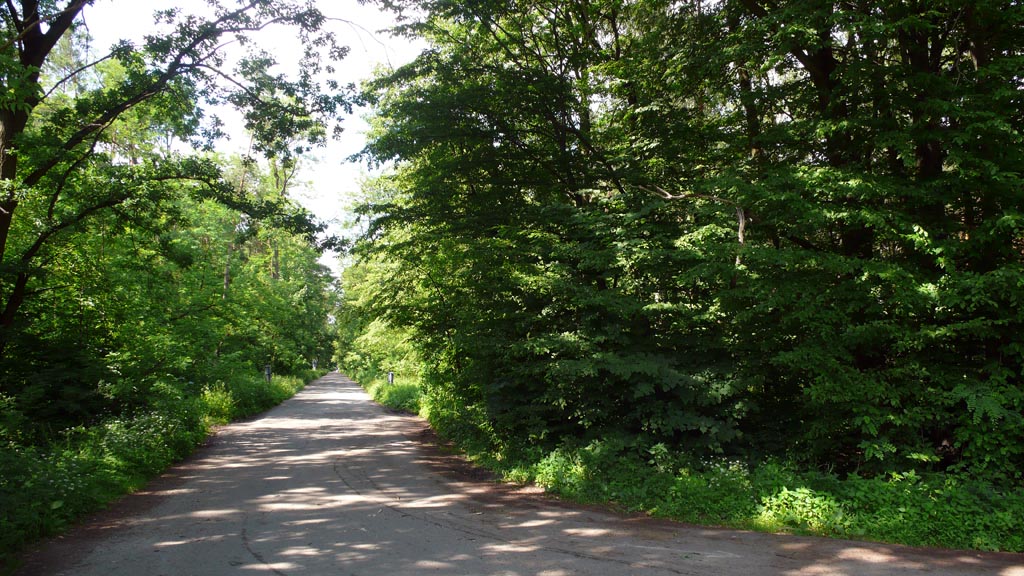 Kliknij, aby powiększyć U wrót Puszczy Niepołomickiej