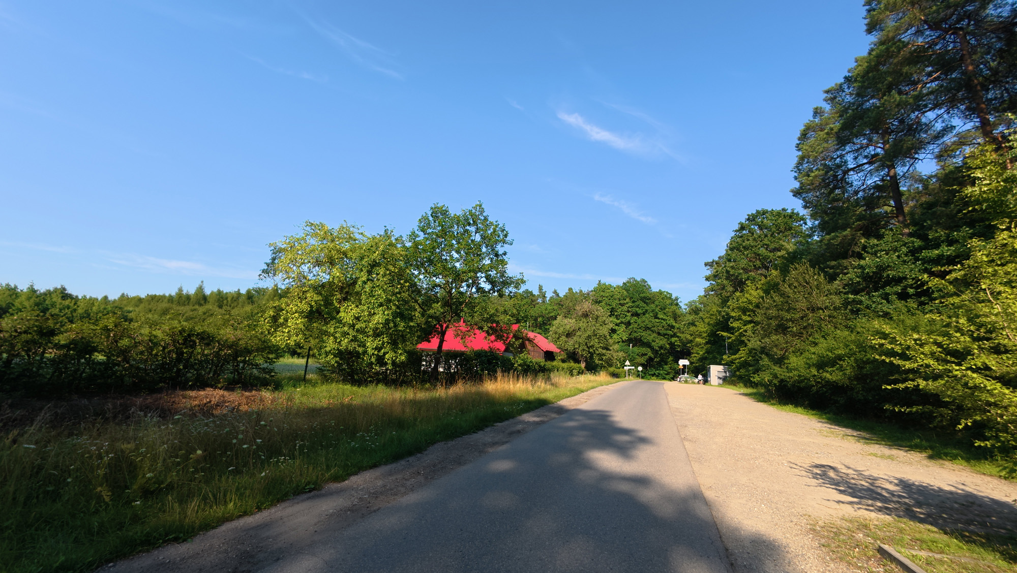 Kliknij, aby powiększyć I znów Puszcza.