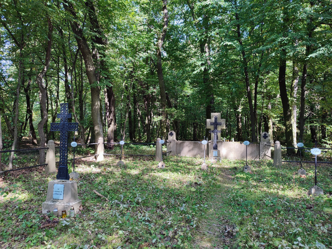 Kliknij, aby powiększyć Cmentarz wojenny z okresu I Wojny Światowej w Puszczy Niepołomickiej.