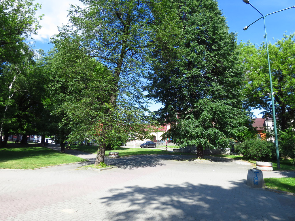 Kliknij, aby powiększyć W Słomnikach.