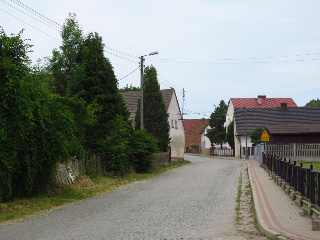 Kliknij, aby powiększyć A to jest Stary Ujazd i fragment brukowanego odcinka trasy.