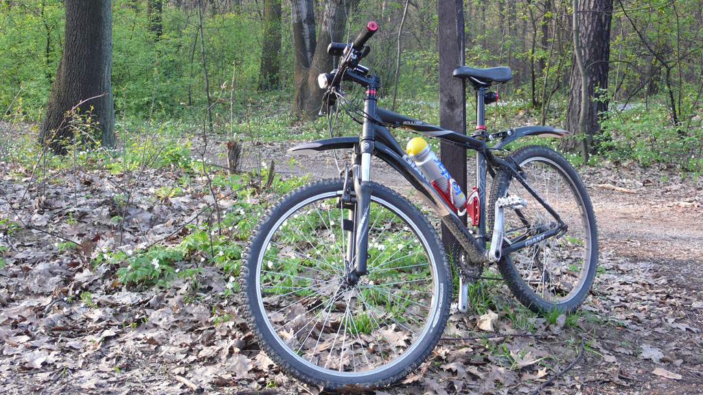 Kliknij, aby powiększyć