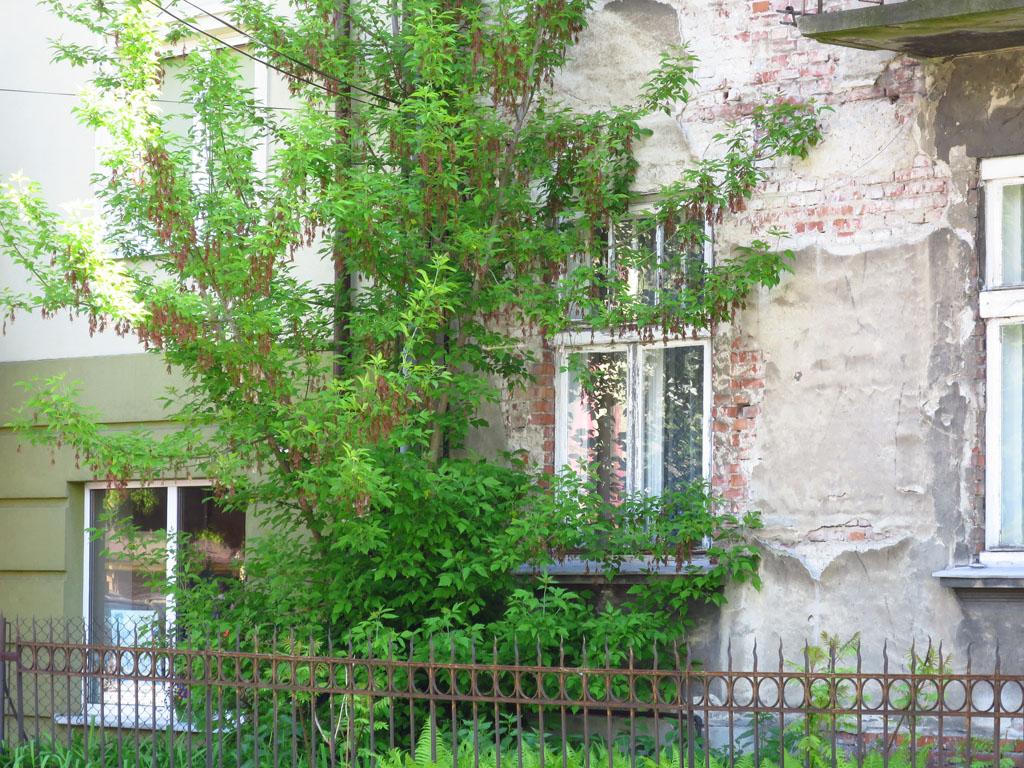 To za tym oknem rodziła się kiedyś moja ciekawość świata