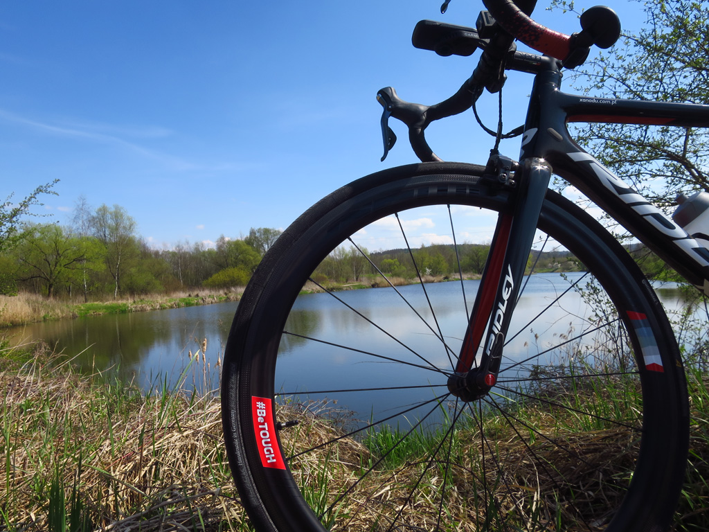 Kliknij, aby powiększyć Ridley w plenerze.