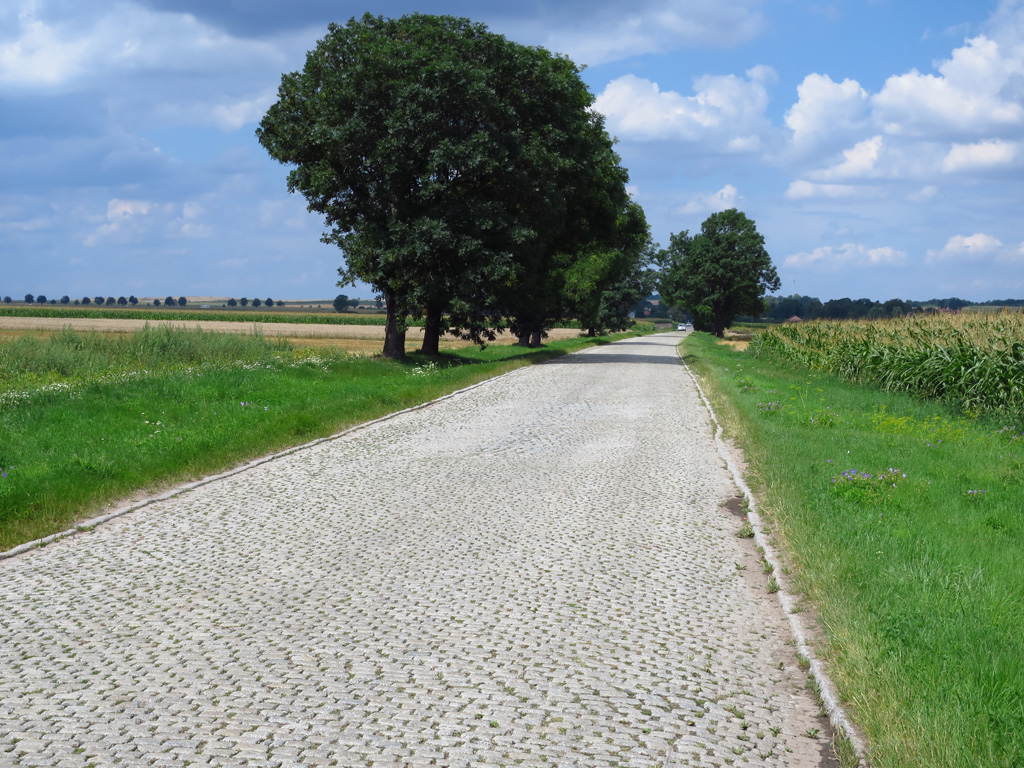 Kliknij, aby powiększyć
Brukowana droga za Tyńcem nad Ślęzą.