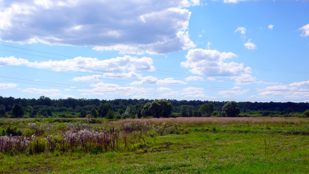 Kliknij, aby powiększyć Stąd George Culliford podchodził do lądowania