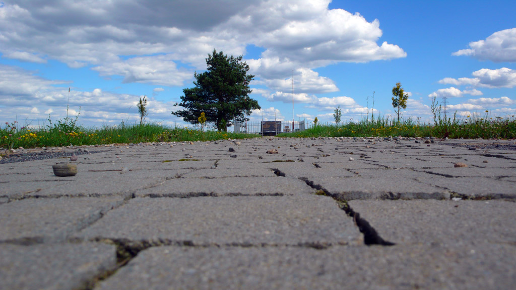 Kliknij, aby powiększyć Nadszedł czas powrotu…
