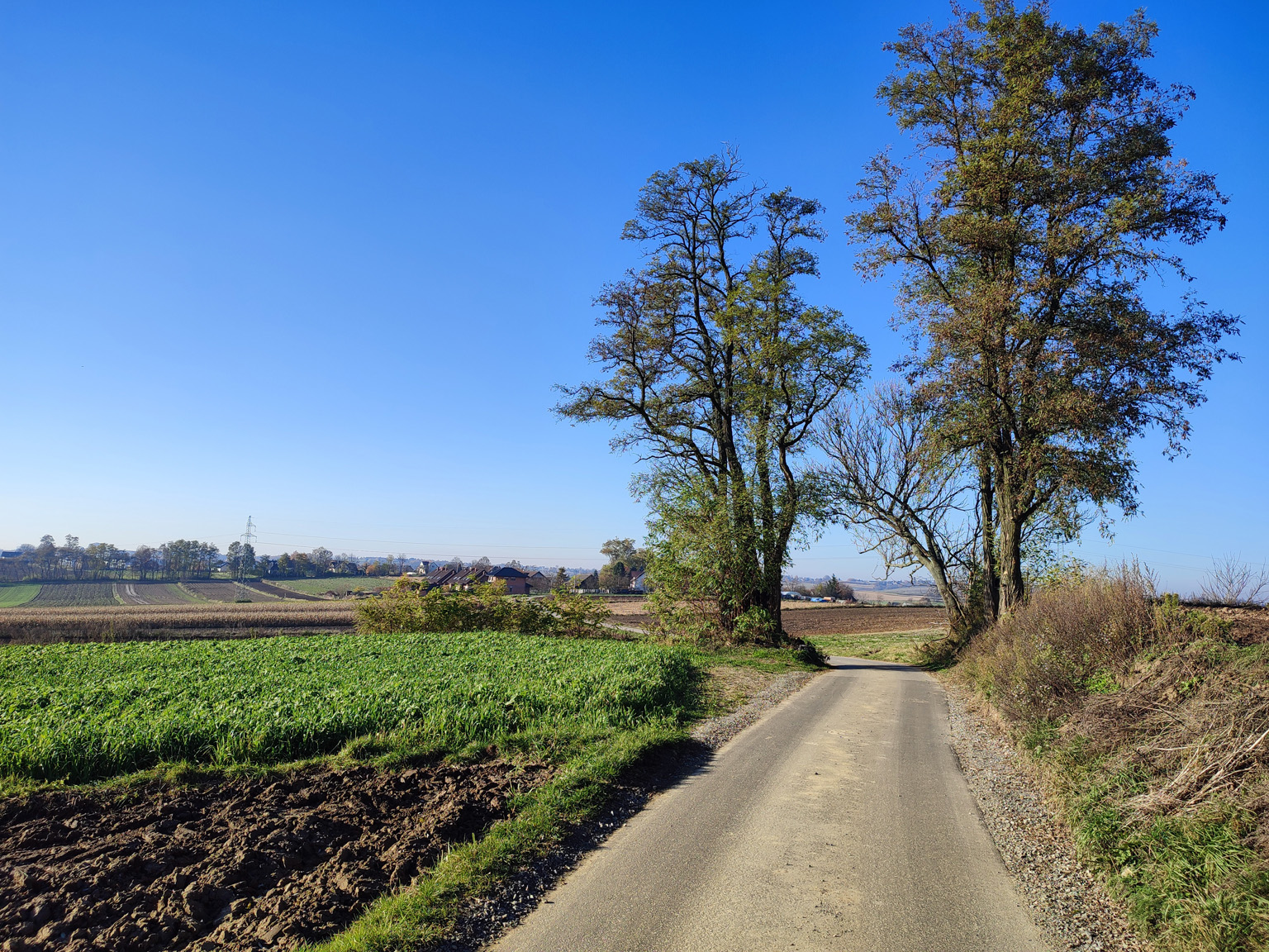 Kliknij, aby powiększyć Okolice Węgrzynowic.