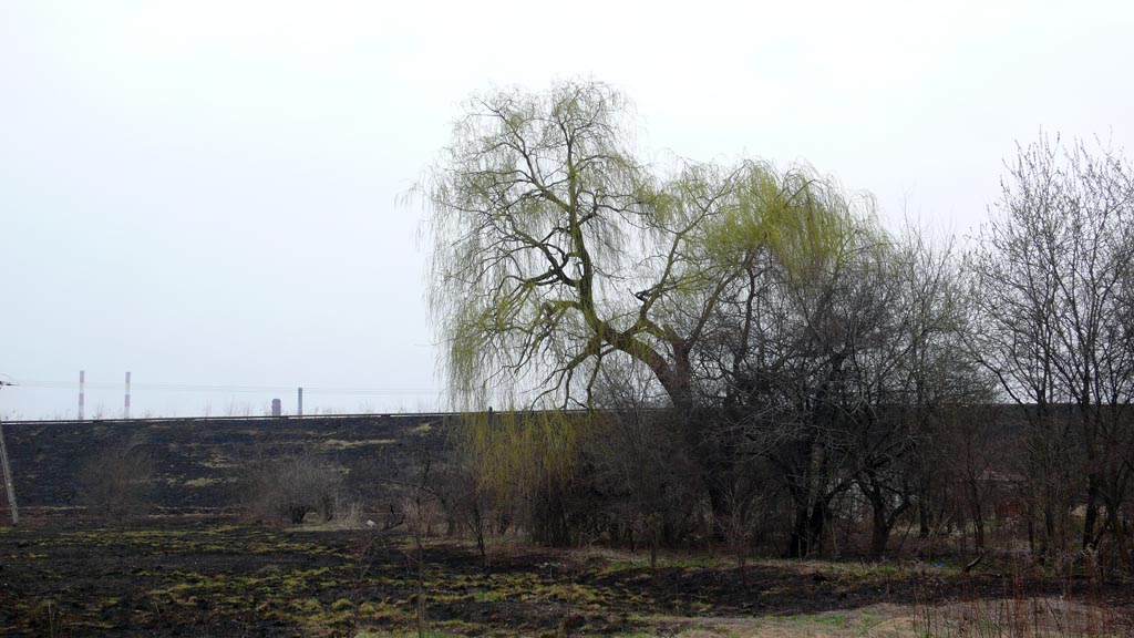 Kliknij, aby powiększyć …i takie