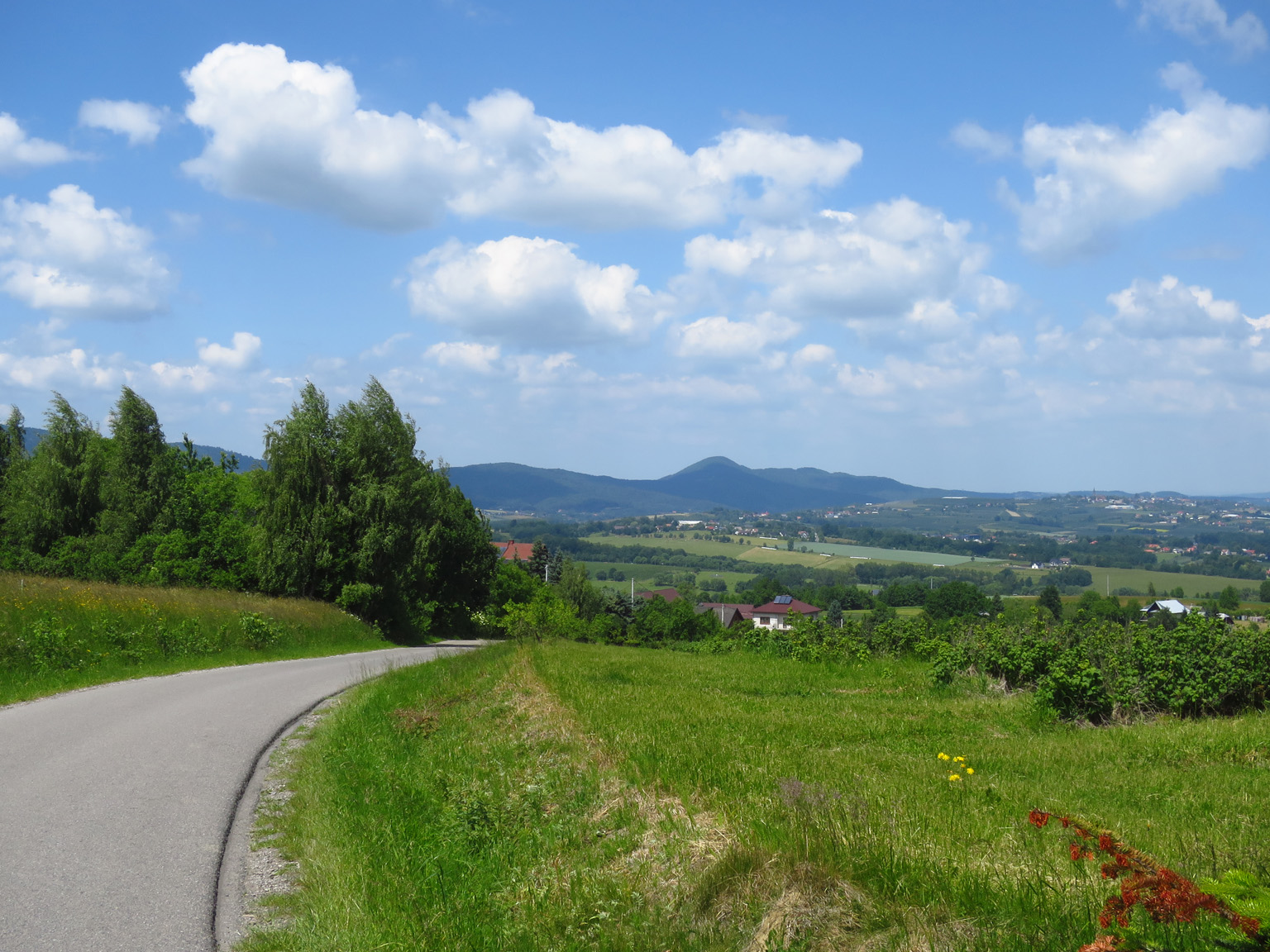 Kliknij, aby powiększyć Koniec podjazdu pomiędzy wioskami Jodłownik i Wilkowisko.